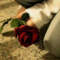 حمودي القحطاني  (@coool9277) Twitter profile photo
