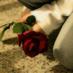حمودي القحطاني (@coool9277) Twitter profile photo حمودي القحطاني (@coool9277) Twitter profile photo