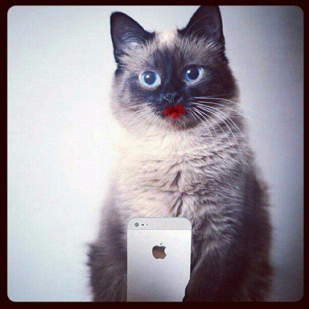 mismasya's profile picture. 