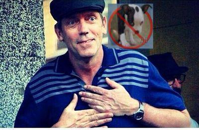 All things to do with Hugh Laurie - the sexiest of the sexy beasts