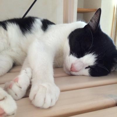 在日２世。