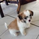 Hammy Juliet (@11Skyfudge) Twitter