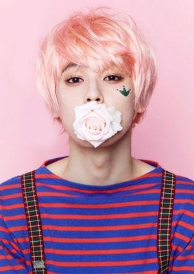 trump_boy's profile picture. 차은우(이동민)을 응원하는 팬카페 'Trump Boy' 입니다^^