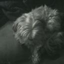 Paula Copeland - @razamatazgizmo - Twitter