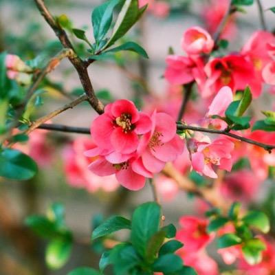 LifeWordsBook's profile picture. We will change culture by sharing the Good News & the Living Water. Christ follower, writer, hockey fan #Jesus #GoodNews #amwriting #LivingWater #CultureChange