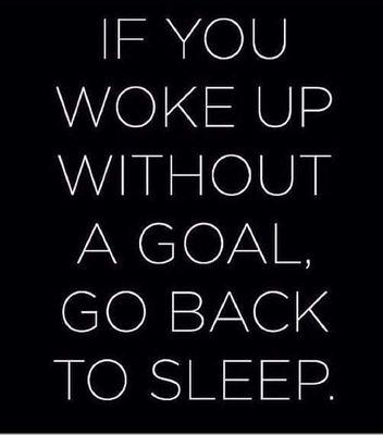 umarzamir1's profile picture. 