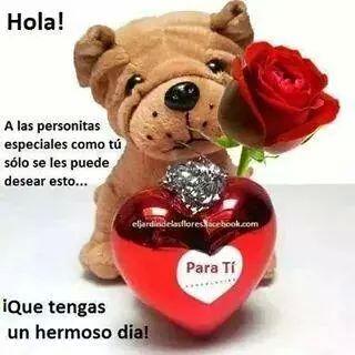 samibaraho's profile picture. 