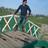 Ankur8791's profile image