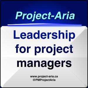 Becoming a strategic project leader. Managing projects in a dynamic world.