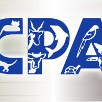 Estamos en contra del Maltrato Animal, es un delito hoy en día.