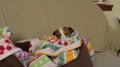 cotybacon's profile picture. 