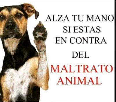 yesyelmar's profile picture. trabajador100%, en busca de una mejor Venezuela para todos. honestidad es mi divisa...