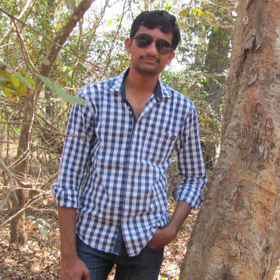 dileepguptha's profile picture. Wings