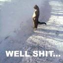 Herman Gomez  - @HermanGomez11 - Twitter