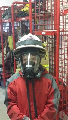 FireBureaucrat's profile picture. politics. Cubs. fire.