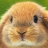CypriotMerkz's profile image