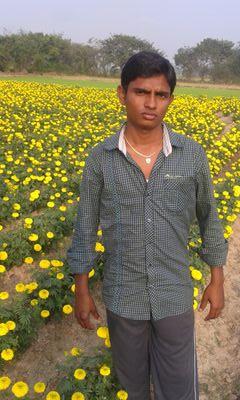 8e6c47b736e94d5's profile picture. 