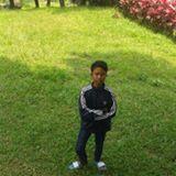 PutraAgustian17's profile picture. 