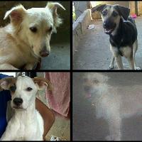 YMM LNRS (@yemima_flor) 's Twitter Profile