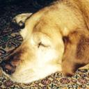 Cindy Crump - @CindyCrump3 - Twitter