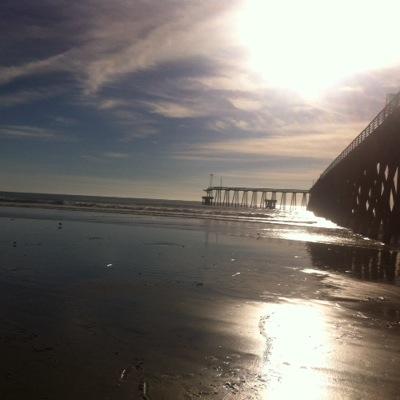 lamojarrison's profile picture. 