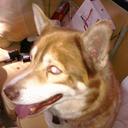 Daniel Feiertag - @DanielFeiertag - Twitter