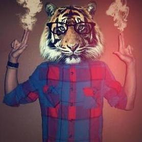 Segue aii http://t.co/8HKpe09W3C