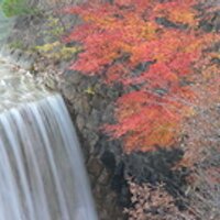 高橋誠(MakotoTakahashi) (@quantymt) Twitter profile photo