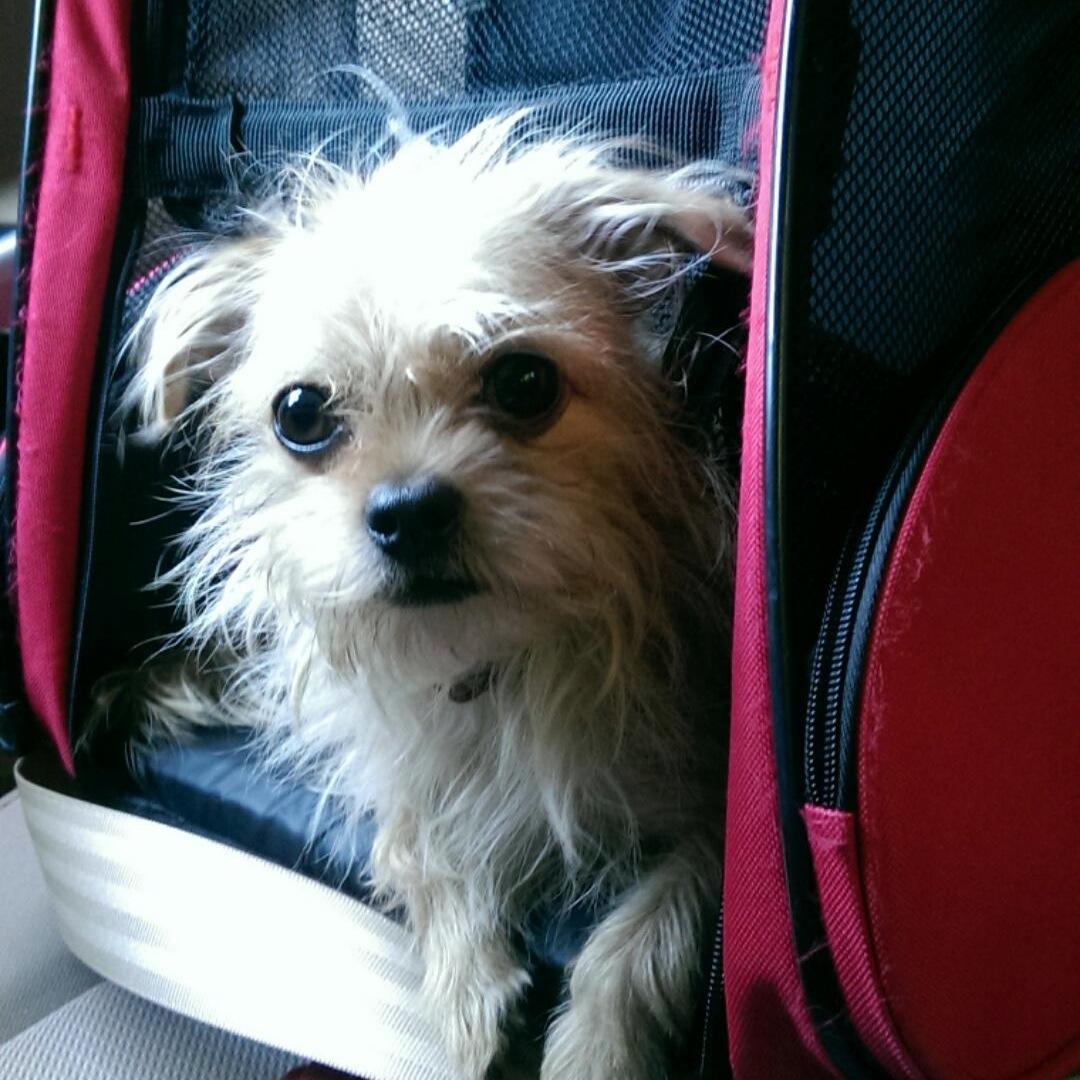 BevFackelman's profile picture. Teacher