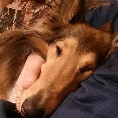 SawyerBennett88's profile picture. 