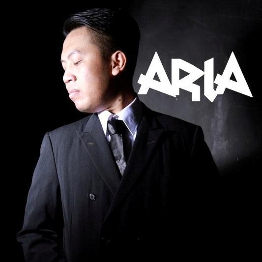 TeamAriaFir Profile Picture