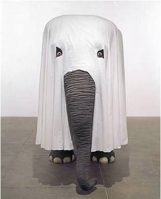 jupidi's profile picture. jupidi is Germany's first mobile Date-Coach.