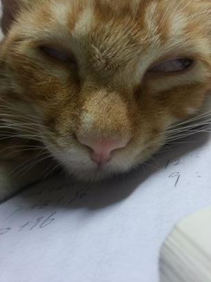 ugly。