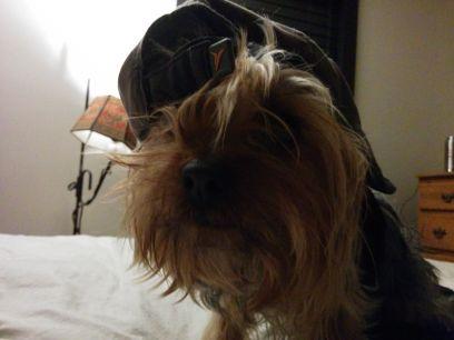 CameronWerner1's profile picture. 