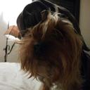 Cameron Werner - @CameronWerner1 - Twitter