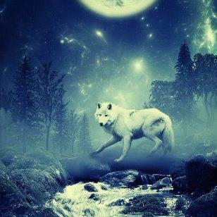 ws_wilsimon's profile picture. 