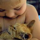 arif jaka - @aj_jaka - Twitter