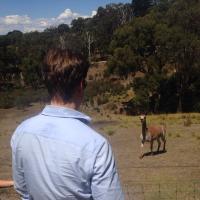 Damian Horton (@hortondamo) 's Twitter Profile Photo