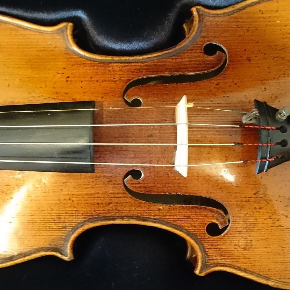 Violinist