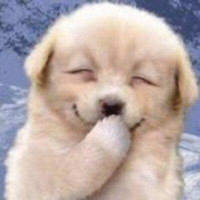 masa9573's profile picture. よろしくお願いしますっ！
相互フォロー大歓迎です。