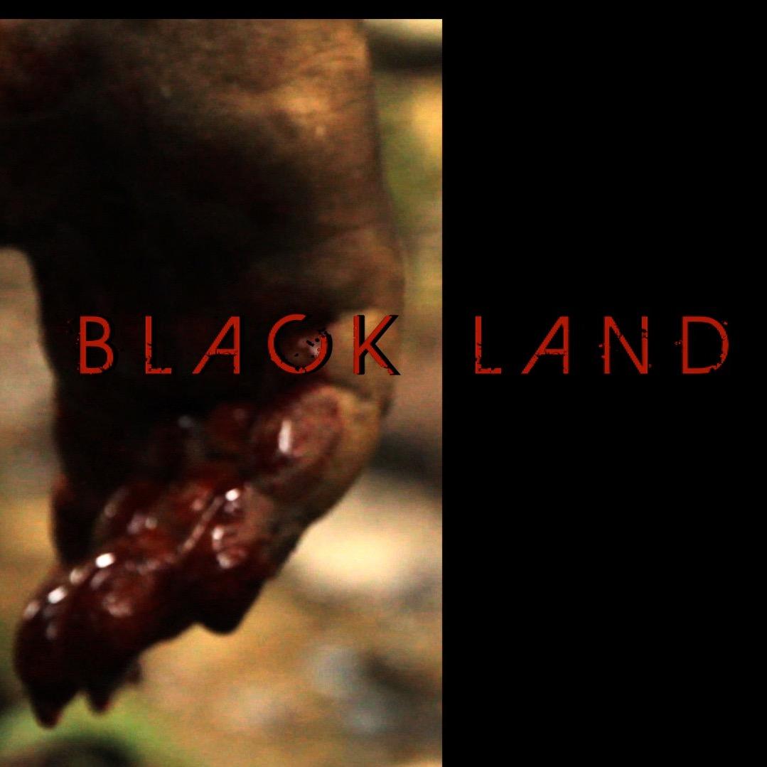 Our Fear Is Its Strength. What was meant to be a simple environmental assessment of Black Land becomes a horror filled assessment in survival.