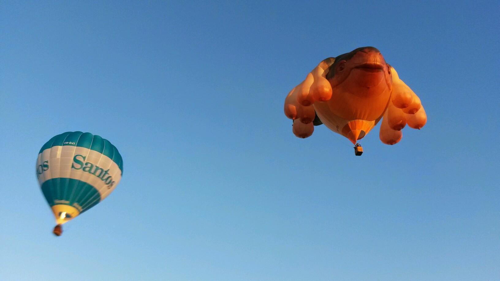 Jogrojogro's profile picture. 