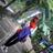 Misian_319's profile image