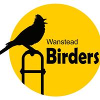 Wanstead Birding(@WansteadBirding) 's Twitter Profile Photo