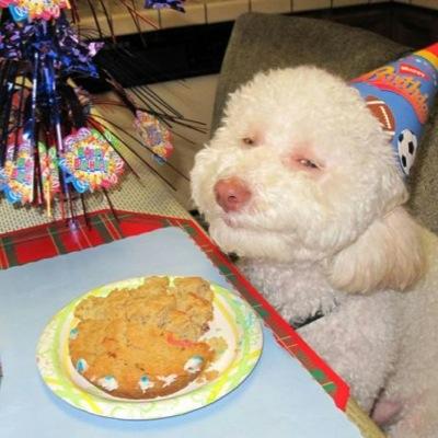 IainBoyle5's profile picture. 