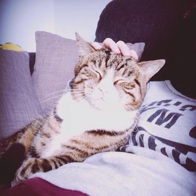 that_Neko's profile picture. Otaku | katzen fan | Schoki ftw | lieblingsanime: Soul Eater | lieblingsmanga: Pandora Hearts | hat immer langeweile :3 | ich hab hunger