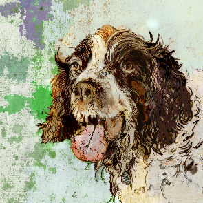 Feed from Jessica Russell Flint Dog Portraits, created with lots of colour, Ink. Oils & Acrylic. Massive Dog lover.