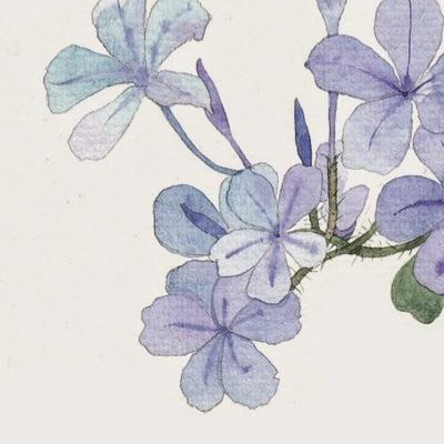 101220I's profile picture. 趣味垢 BOT垢