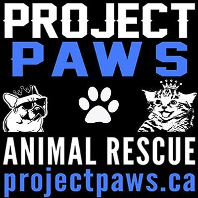 Animal Rescue Benefits & Adoption Events • http://t.co/s1ivrjZPn3