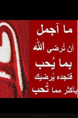 mgmonk47's profile picture. 